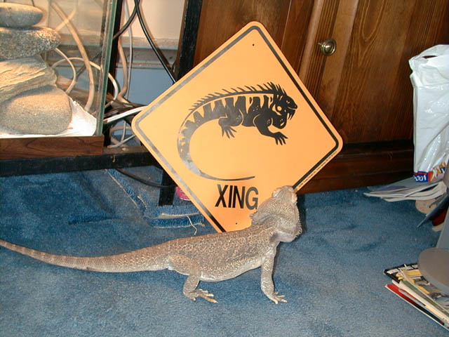 Eddie&sign