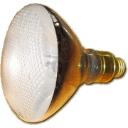 Picture of Megaray Bulb