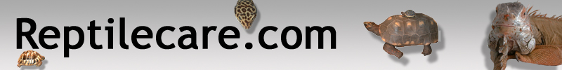 Reptilecare.com Logo